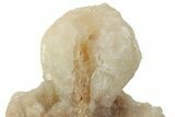 Cave Calcite Stalactite with Fluorescent Calcite - Wenshan Mine #223545-2